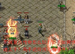 ���⸴�Ŵ�����ô�棿������ο������֣����ֽ��׼�������Щ��