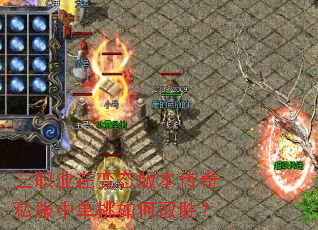 ��ְҵ�ڱ�̬�汾����˽���е������ȡʤ��