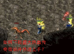 �������ʢ����Ѫ����΢�˲��������֣�