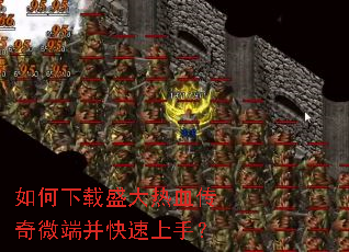 �������ʢ����Ѫ����΢�˲��������֣�