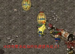 冰封传奇决战如何快速提升战力? 冰封传奇决战如何快速提升战力?