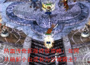 ��Ѫ�����·��ռ����ԣ���δ�����С�׳ɳ�Ϊɳ�ǰ�����