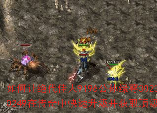 ����þ�������9196��������302300249�ڴ����п�����������ȡ����װ����