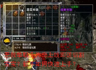 ���ⵥְҵ�������߼����и����������ο������֣�