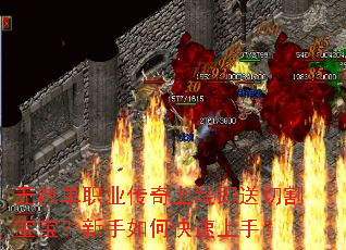 ���ⵥְҵ�������߼����и����������ο������֣�