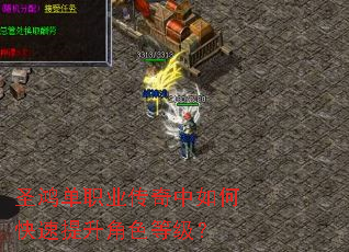 ʥ�赥ְҵ��������ο���������ɫ�ȼ���