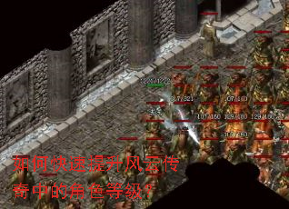 如何快速提升风云传奇中的角色等级? 如何快速提升风云传奇中的角色等级?