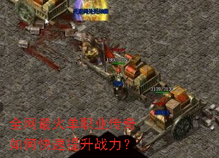 ȫ�����ְҵ������ο�������ս����