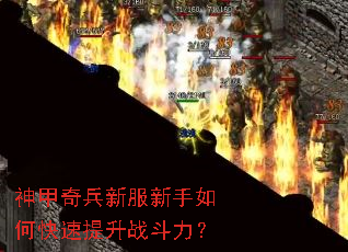 �������·�������ο�������ս������