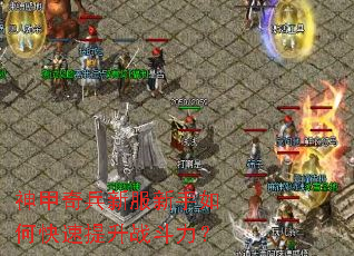 �������·�������ο�������ս������