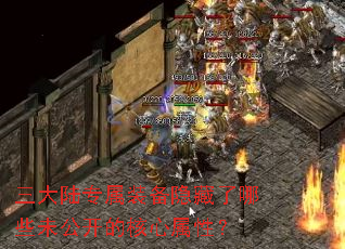 ����½ר��װ����������Щδ�����ĺ������ԣ�