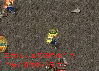 ����½ר��װ����������Щδ�����ĺ������ԣ�