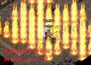 ���µ�ְҵ�����ο�������ս����