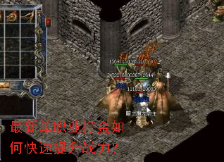 ���µ�ְҵ�����ο�������ս����