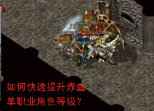 ��ο���������Ѫ��ְҵ��ɫ�ȼ���