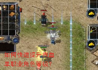 ��ο���������Ѫ��ְҵ��ɫ�ȼ���