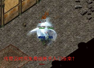 传奇及时雨免费版新手入门指南? 传奇及时雨免费版新手入门指南?