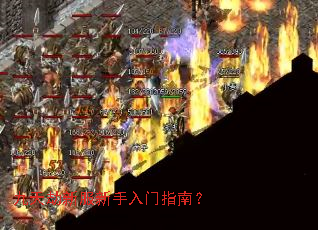 九天劫新服新手入门指南? 九天劫新服新手入门指南?
