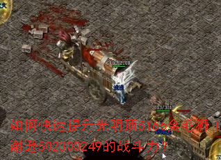 如何快速提升光明顶5166金毛狮王谢逊502300249的战斗力? 如何快速提升光明顶5166金毛狮王谢逊502300249的战斗力?