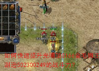 如何快速提升光明顶5166金毛狮王谢逊502300249的战斗力? 如何快速提升光明顶5166金毛狮王谢逊502300249的战斗力?