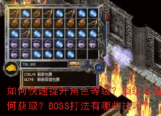 ��ο���������ɫ�ȼ�������װ����λ�ȡ��BOSS������Щ���ɣ�