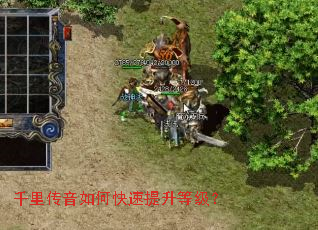 千里传音如何快速提升等级? 千里传音如何快速提升等级?