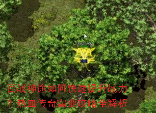 百战神途如何快速提升战力?热血传奇霸业攻略全解析 百战神途如何快速提升战力?热血传奇霸业攻略全解析