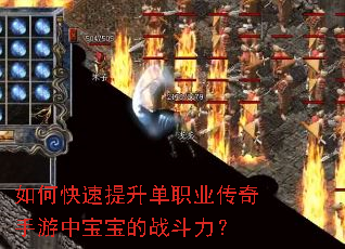 如何快速提升单职业传奇手游中宝宝的战斗力? 如何快速提升单职业传奇手游中宝宝的战斗力?