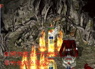 如何快速提升大大主宰传奇角色等级? 如何快速提升大大主宰传奇角色等级?