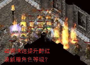 如何快速提升醉红颜新服角色等级? 如何快速提升醉红颜新服角色等级?