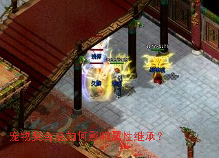 宠物契合度如何影响属性继承? 宠物契合度如何影响属性继承?