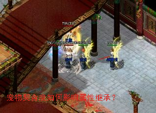 宠物契合度如何影响属性继承? 宠物契合度如何影响属性继承?