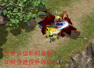 传奇永恒怀旧服新手如何快速提升等级? 传奇永恒怀旧服新手如何快速提升等级?
