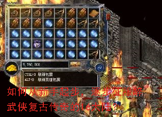 ��δ������𲽣����������������Ŵ����16��½��