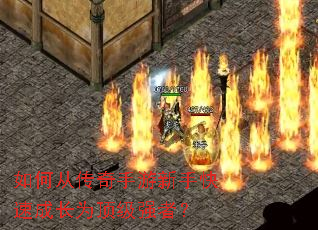 如何从传奇手游新手快速成长为顶级强者? 如何从传奇手游新手快速成长为顶级强者?
