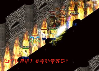 如何快速提升暴率勋章等级? 如何快速提升暴率勋章等级?
