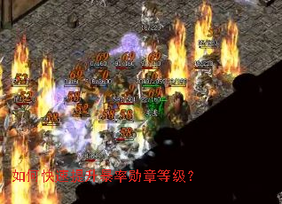 如何快速提升暴率勋章等级? 如何快速提升暴率勋章等级?