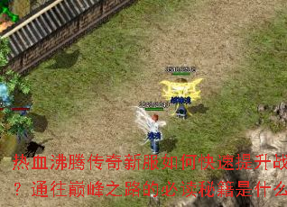 热血沸腾传奇新服如何快速提升战力?通往巅峰之路的必读秘籍是什么? 热血沸腾传奇新服如何快速提升战力?通往巅峰之路的必读秘籍是什么?