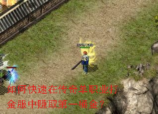 如何快速在传奇单职业打金服中赚取第一桶金? 如何快速在传奇单职业打金服中赚取第一桶金?