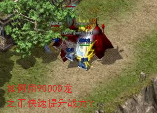 如何用90000龙之币快速提升战力? 如何用90000龙之币快速提升战力?