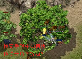 传奇手游中如何快速提升角色等级? 传奇手游中如何快速提升角色等级?