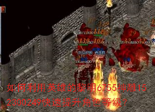 如何利用英雄的黎明6755神雕152300249快速提升角色等级? 如何利用英雄的黎明6755神雕152300249快速提升角色等级?