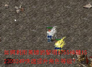 如何利用英雄的黎明6755神雕152300249快速提升角色等级? 如何利用英雄的黎明6755神雕152300249快速提升角色等级?