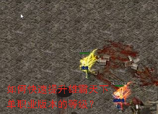 如何快速提升雄霸天下单职业版本的等级? 如何快速提升雄霸天下单职业版本的等级?