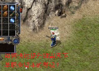 如何快速提升雄霸天下单职业版本的等级? 如何快速提升雄霸天下单职业版本的等级?