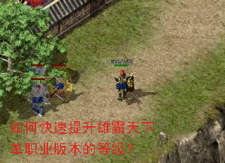 如何快速提升雄霸天下单职业版本的等级? 如何快速提升雄霸天下单职业版本的等级?