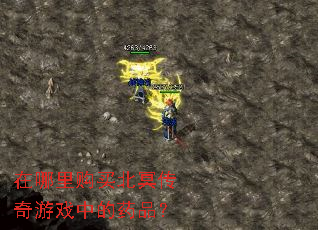 在哪里购买北冥传奇游戏中的药品? 在哪里购买北冥传奇游戏中的药品?