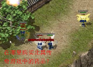 在哪里购买北冥传奇游戏中的药品? 在哪里购买北冥传奇游戏中的药品?
