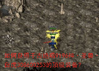 如何获得千古绝唱9196神·圣兽·白虎308600253的顶级装备? 如何获得千古绝唱9196神·圣兽·白虎308600253的顶级装备?