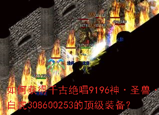 如何获得千古绝唱9196神·圣兽·白虎308600253的顶级装备? 如何获得千古绝唱9196神·圣兽·白虎308600253的顶级装备?